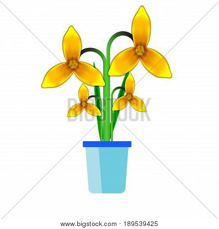 Houseplant flat design style illustration. Isolated on white background.