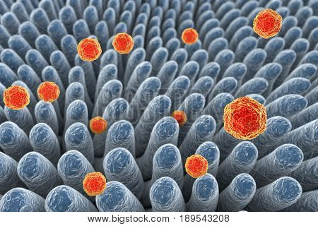 Hepatitis A viruses infecting intestine, 3D illustration
