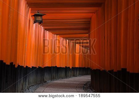 Torii gates in Fushimi Inari Shrine Kyoto Japan