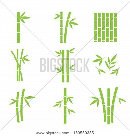 Set of bamboo design elements. Leaves and trunks of bamboo logos. Vector illustration.