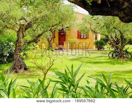 ZAKYNTHOS ISLAND, GREECE, MAY,30, 2016: Family classic yellow red Greek villa appartments hotel villa house cottage among olive trees green garden. Classic Greek house Greece holidays on Greek islands