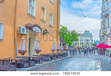 The Center Of Lvov