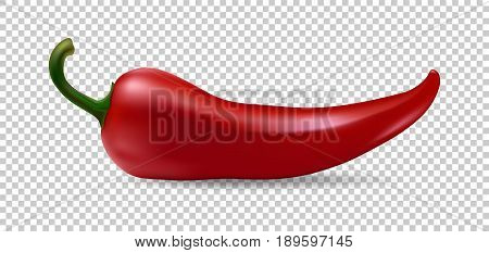 Realistic red chilli pepper icon isolated on transparent background. Design template of food closeup in EPS10 vector.