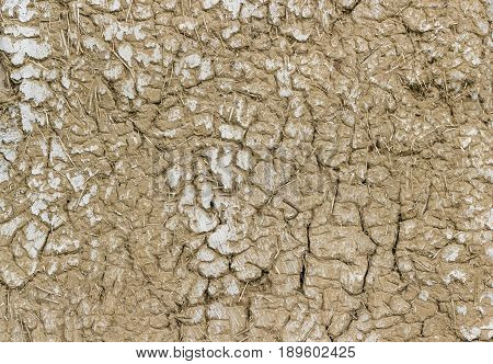 Old Clay Wall Cracked Straw Background