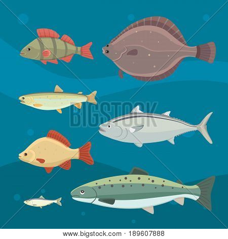 Isolated river fish. Set of freshwater sea cartoon fishes. Fauna ocean vector illustration.
