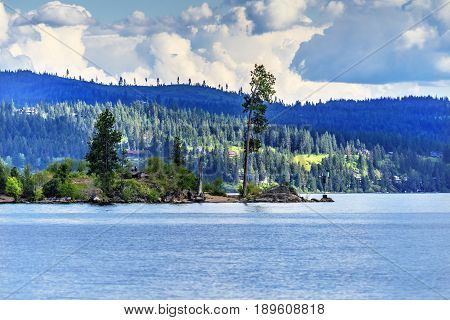 Tree Peninsula Lake Coeur d' Alene Idaho