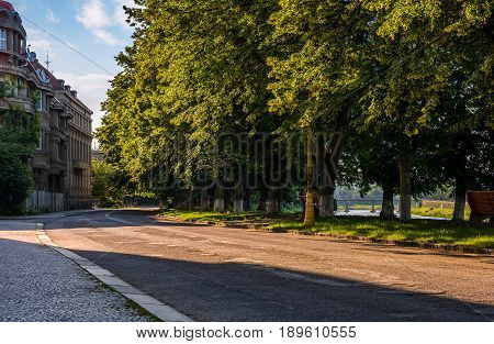 Longest European Linden Alley