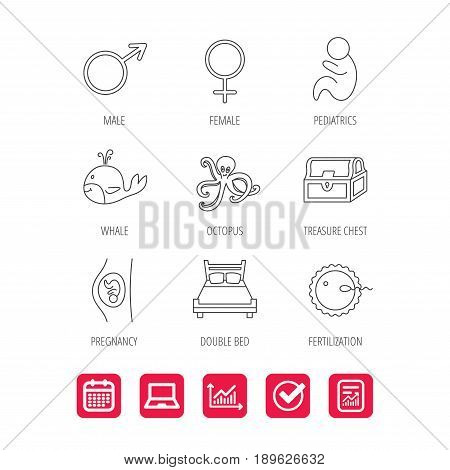 Fertilization, pregnancy and pediatrics icons. Baby child, whale and octopus linear signs. Treasure chest, double bed icons. Report document, Graph chart and Calendar signs. Laptop and Check web icons