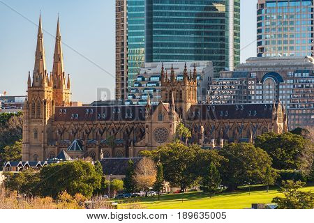 St Mary Cathedral view with Sydney CBD skyscrapers on the background. Sydney Australia