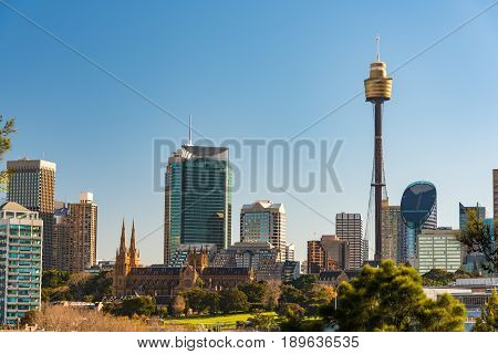 Panoramic View On Sydney Cbd With Sydney Tower And St Mary Cathedral
