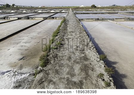 Natural Salt Mines