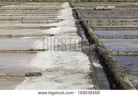 Natural Salt Mines