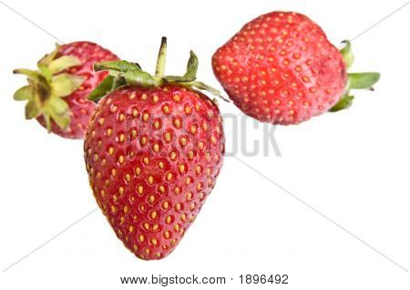 Fresas 2