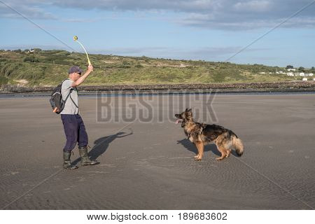 Man Throwing A Ball For His Dog On The Beach