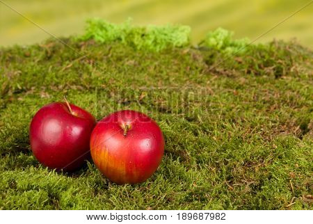 Artificial background with moss and apples to be used as backdrop for gnomes and fairies