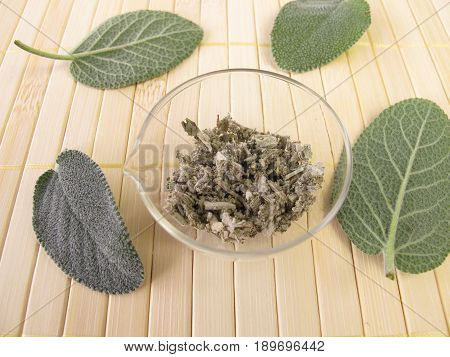 Garden sage, Salviae folium, for herbal medicine