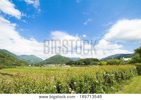 Beautiful landscape of Takayama mura at sunny summer or spring day and blue sky in Kamitakai District in northeast Nagano Prefecture Japan.