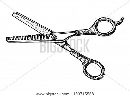 Vector hand drawn illustration of thinning shears in vintage engraved style. isolated on white background. Black and white scissors