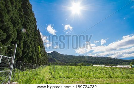 Beautiful landscape of Takayama mura at sunny summer or spring day and blue sky in Kamitakai District in northeast Nagano Prefecture Japan.