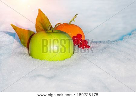 green delicious Christmas apple orange berries of viburnum and leaves in snow with before Christmas in sunny winter afternoon