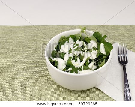 One white bowl of watercress salad with blue cheese salad dressing. Lunch of a fresh small leaf watercress salad with blue cheese salad dressing close-up.