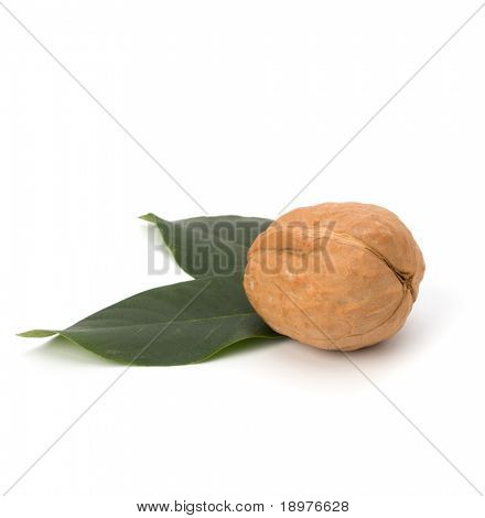 Noce circasso isolata on white background