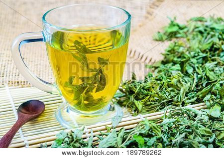 Dry stevia leaves with a glass stevia infusion