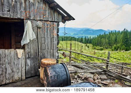 Traditional cheese making in a authentic way in wooden mountain house