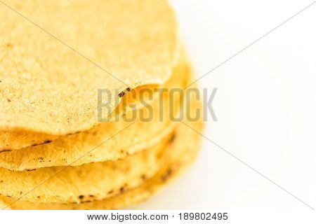 Tostada Shells