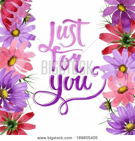 Wildflower kosmeya flower frame in a watercolor style isolated. Full name of the plant: kosmeya. Aquarelle wild flower for background, texture, wrapper pattern, frame or border.