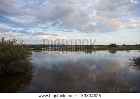 Beautiful landscape . Evros river in Greece.