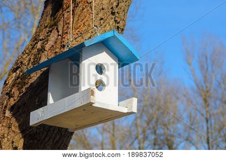 A white bird feeder with a blue roof hanging on a tree in the park. Caring for the brothers is our smaller concept. Spring came
