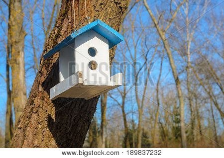 A white bird feeder with a blue roof hanging on a tree in the park. Caring for the brothers is our smaller concept. Spring came
