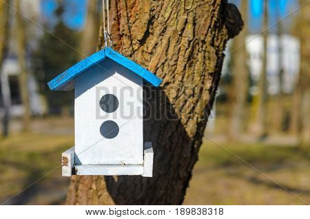 A white bird feeder with a blue roof hanging on a tree in the park. Caring for the brothers is our smaller concept. Spring came