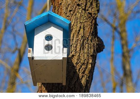 A white bird feeder with a blue roof hanging on a tree in the park. Caring for the brothers is our smaller concept. Spring came