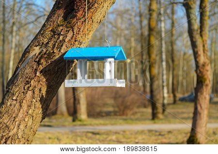 A white bird feeder with a blue roof hanging on a tree in the park. Caring for the brothers is our smaller concept. Spring came