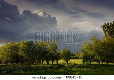 Storm clouds rolling in across a forest scene in Southern Flanders, Belgium.