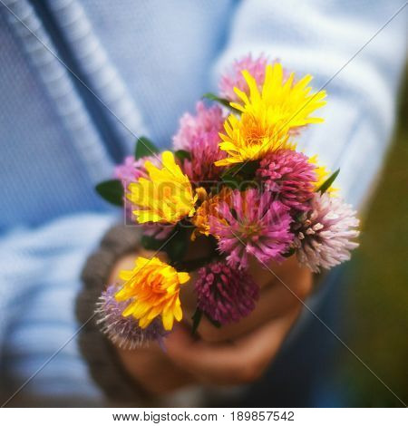 bouquet of field flowers in children's hands