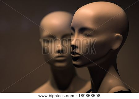 Fashion And Beauty, Shopping, No Makeup, Business, Ai, Robotic Technology