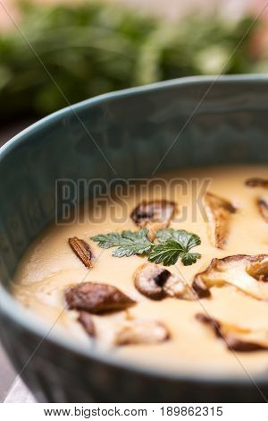 Cream Mushroom Soup in Bowl on Stone Background. Homemade Mushrooms Pottage Puree.