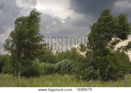 Sommer Storm