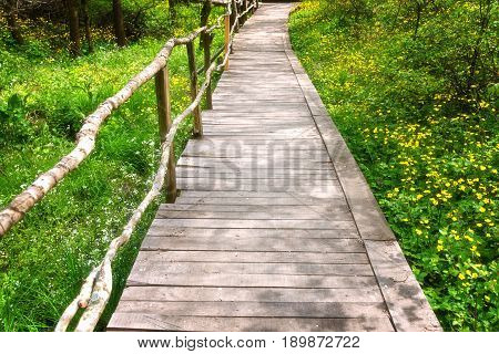 National Park Ropotamo Bulgaria. Wooden bridge leads to the Ropotamo river crossing green spring forest.