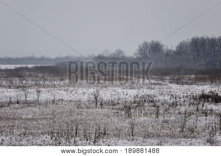 Winter beautiful landscape with trees covered with hoarfrost