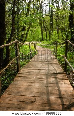 National Park Ropotamo Bulgaria. Wooden bridge leads to the Ropotamo river crossing green spring forest.