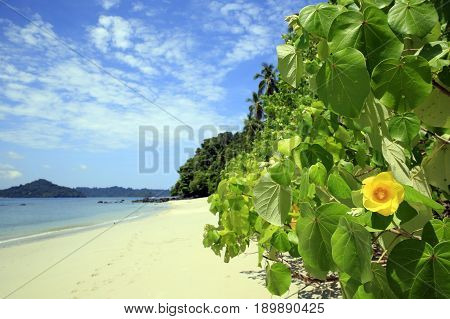 Tropical Beach of Coibita aka Rancheria with Isla Coiba in the Background. Coiba National Park Panama