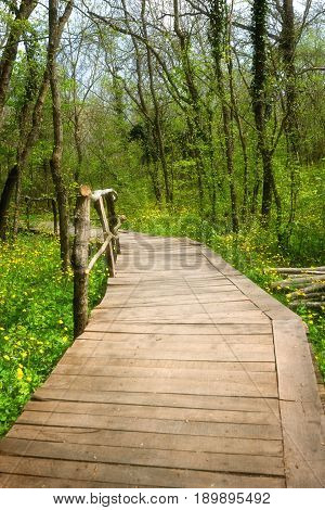 National Park Ropotamo Bulgaria. Wooden bridge leads to the Ropotamo river crossing green spring forest.