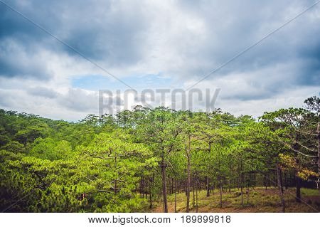 Fantastic Landscape Of Dalat Mountains, Viet Nam, Fresh Atmosphere, Villa Among Forest, Impression S