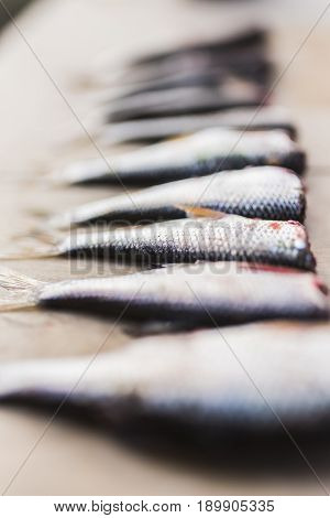 Fresh fish with silver scales without a head lies on a light wooden background a vertical frame