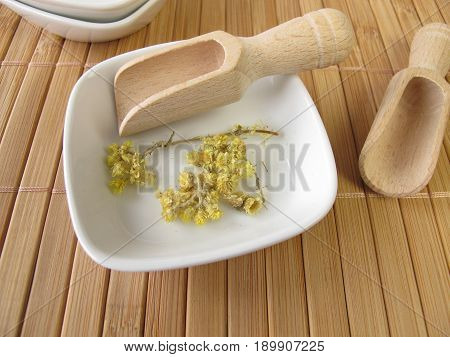 Dwarf everlast, Stoechados flos, for herbal medicine