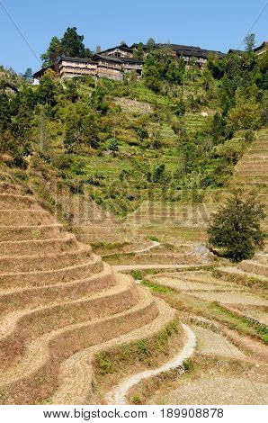 Ancient beautiful rice terraces of Longsheng near Guilin Guanxi province China